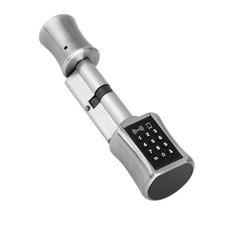 Airbnb Smart Home - Bluetooth Cylinder Lock TT Lock password