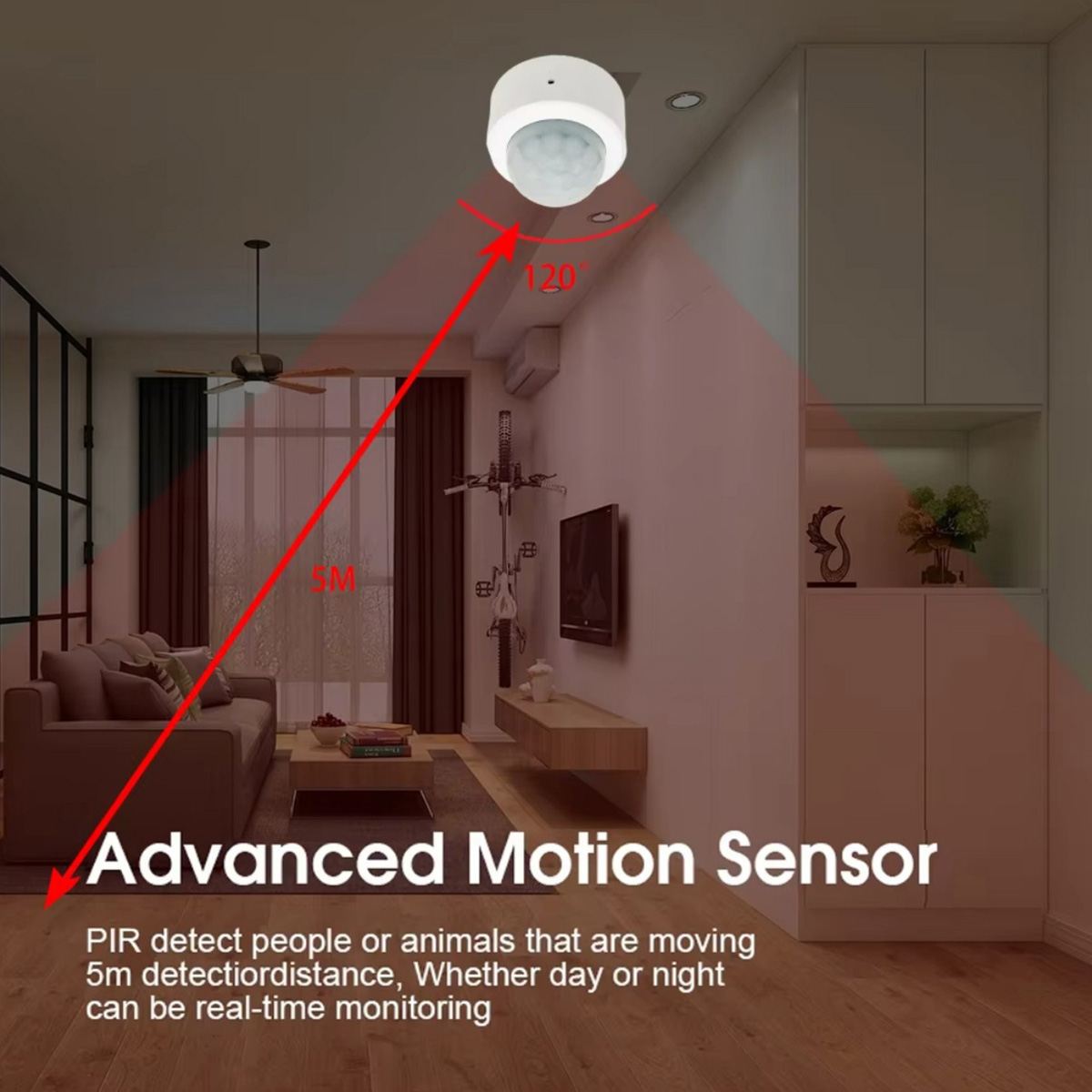 Zigbee PIR Motion Sensor Human - Smart Home Security ulasan dan harga