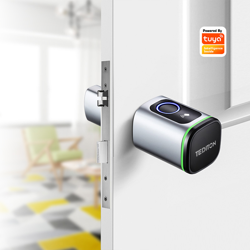 Tuya Wifi Smart Cylinder Door  - Airbnb Smart Home ulasan dan harga