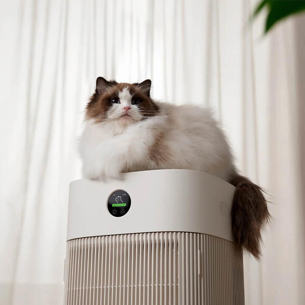 Cats Hair Fast Absorb Dogs Hai - Smart Air Purifier ulasan dan harga